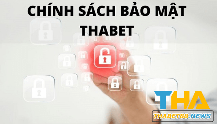 Những điều cần biết về chính sách bảo mật Thabet