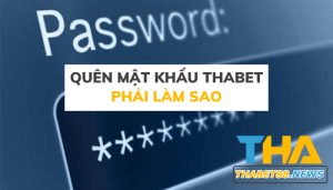Quên mật khẩu Thabet - Phải làm sao?